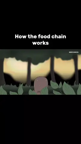 How the food chain works  #views #nigeria #funny #tiktok #viral 