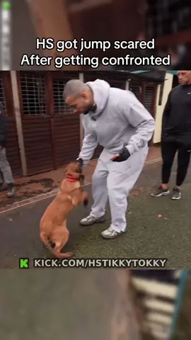 HS got jump scared After getting confronted #edmatthews #hstikkytokky 