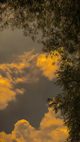 الله يعلم من تحب، ولكن الله يعلم من هو الأفضل لك 