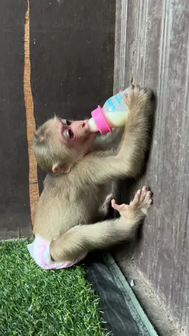 #Love #usa🇺🇸 #fyp #foruyou 