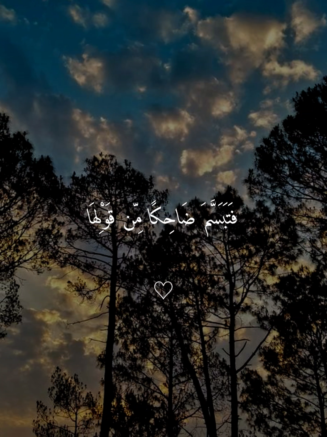 #فارس_عباد #قران_كريم 