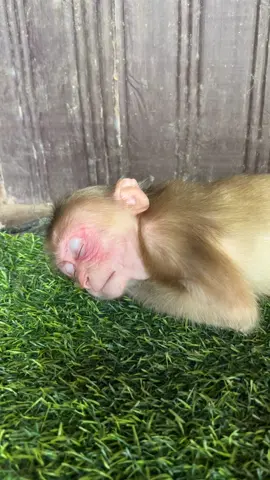 #usa🇺🇸 #Love #fyp #foruyou #tiktok 