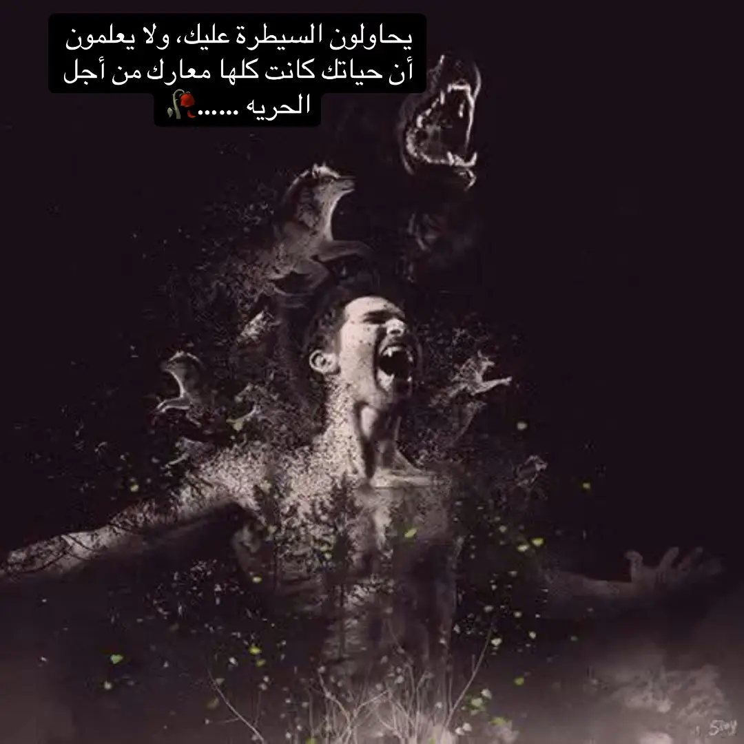 #flyingjets #fypシ゚viral #الخال💔 