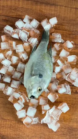 #fishing #swimbait #smartbait #lure #christmasgiftideas 