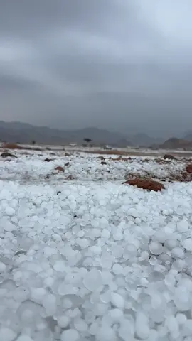 #بردية_الشرف #تصويري_فهد_العمراني #امطاراليوم #اجواء_خيالية #اكسبلورexplore 