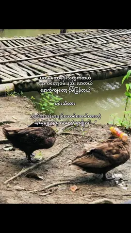 ထင်သလောက်မသန်မာပါဘူး #fypシ #crd #foryoupage #fyppppppppppppppppppppppp #tiktok 