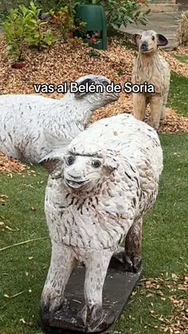 hoy me siento un poco oveja soriana #fyp #navidad #soria #xmas2025 