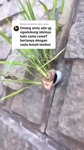 Membalas @kara_aisia ada dong #jhope #lisa #bts #blackpink #fyp 