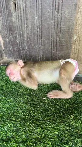 #usa🇺🇸 #Love #fyp #foruyou #tiktok 