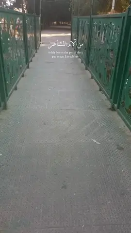 #متنزه #ذي_قار #متابعة_قلب_تعليق_مشاركة_اكسبلورررر #ذكريات_الزمن_الجميل 