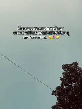 🌷🦋নীরবে জমে থাকা কান্না কেউ তো দেখলো না বিজে যাওয়া বালিশটাই শুধু জানে সব যন্ত্রনা…😣🌷😭#creatorsearchinsights #creatorsearchinsights2025 #foryoupage #viralvideo #trending @TikTok 