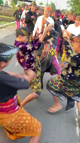 oyeng isak oyeng#ngoreklombok #ngorek #nyongkolangadatsasaklombok #xyzbca #fyp 