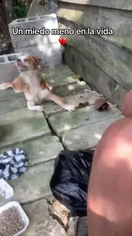 Hice de todo por ti 💔 #paratiiiiiiiiiiiiiiiiiiiiiiiiiiiiiii #fyp #foryou #sigueme_y_te_sigo 