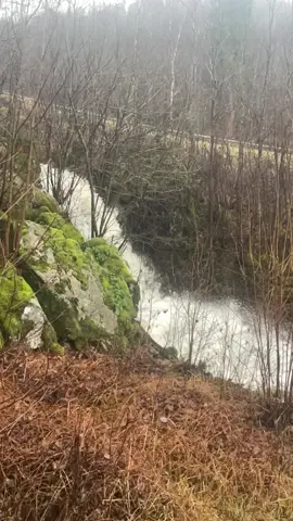 #القران_الكريم_راحه_نفسية😍🕋 #تصويري #Norway #لايك__explore___ #ตามจังหวะ 