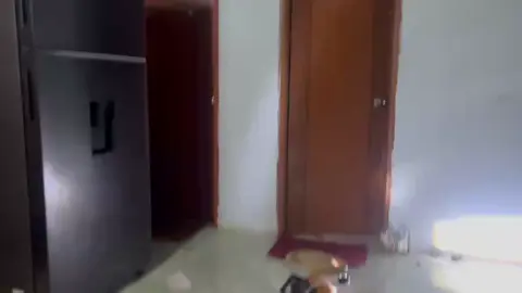 70% rồi 🥴#xuhuong #xhtiktok #xedokieng 