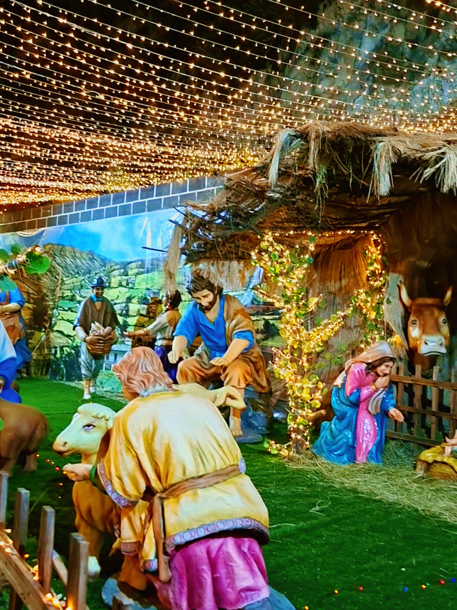 #laslajasnariño #navidad #ipiales #pregonnavideño #🎄 