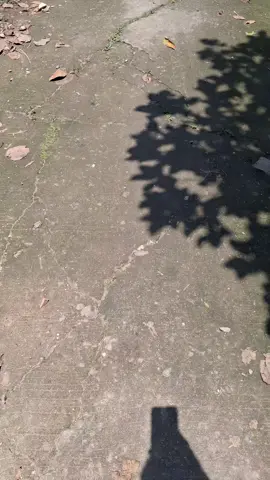 hampura ah #galaubrutal 