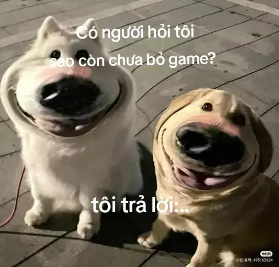 #nhachaymoingay🎧 #xuhuongtiktok #vairal #laonhi #lyrics 