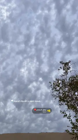 الاجواء جميله جداً🥺🌧️