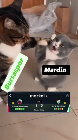Bursaspor mardinde mardini pert etti 😂😂😂 #mardin #amed #diyarbakır #amedspor #kürtçeşarkılar 