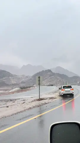 #تبوك_الان #الزيته #الشرف #حقل #امطاراليوم 