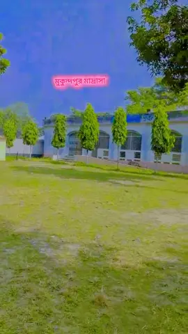 মাদ্রাসা