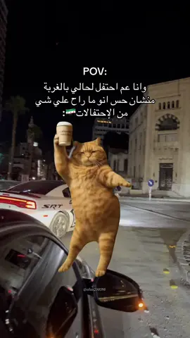 #سوريا #syria #حمص #حمصية #دمشق 