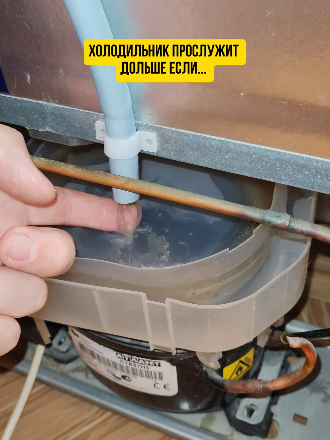 Холодильник прослужит дольше если #лайфхак  #ремонт #совет #холодильник #длядома 