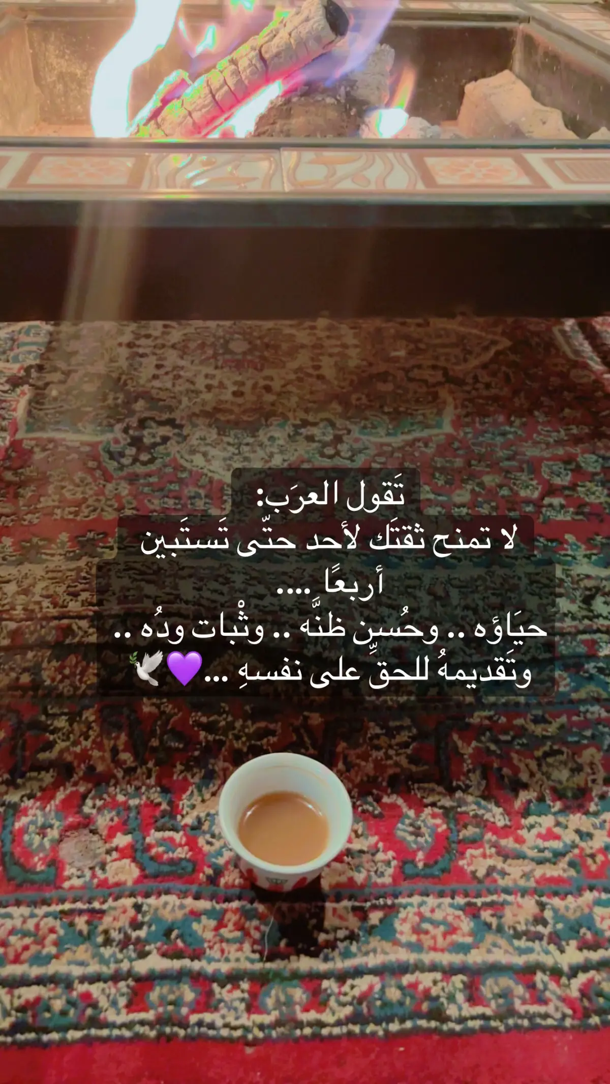 #قالت_ العرب_💜🕊️