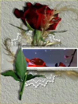 آيات من القرآن الكريم #تعليقات #اكسبلوررررررررررر 