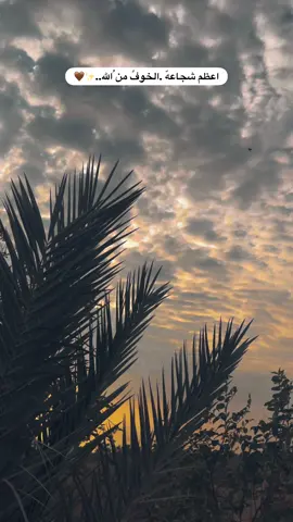 #جزء 439 |#غيوم_السماء_تصويري📸 #تصويري_احترافي_الاجواء👌🏻🕊 #عباراتكم_الفخمه📿📌 #قناتي_تليجرام_بالبايو💕🦋 