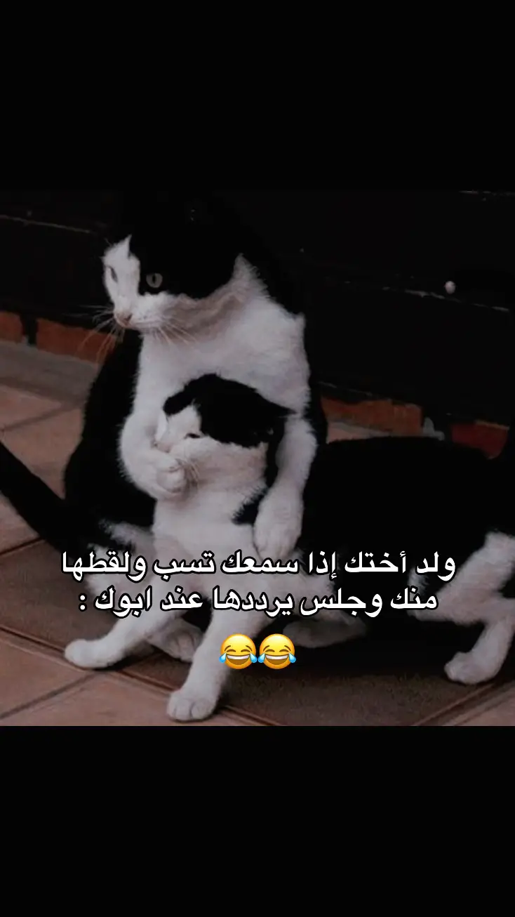 #tiktok #capcut #explore #viral #الشعب_الصيني_ماله_حل😂😂 