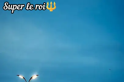 MÔGO MAGNI#tiktokmali🇲🇱223 #burkinatiktok🇧🇫🇧🇫🇧🇫❤️ #guineenne224🇬🇳 #cotedivoire🇨🇮225 #fyp @💫super le roi💫 @💫super le roi💫 @💫super le roi💫 