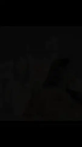 Pyar Kiya Hey Toh Puri Tarah Nivaunga❤️🥰💐 #foryoupage #goviral #unfrezzmyaccount #support_me #magar_edit 