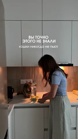 👉 Наш нейтрализатор справляется со всеми неприятными запахами ВБ #259022384