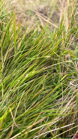 ⛰️☠️#merapi #fyp 
