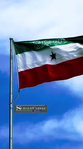 Somaliland baa inaga Badan Manta 💚🤍❤️#suhayb_careef❤️🎥 