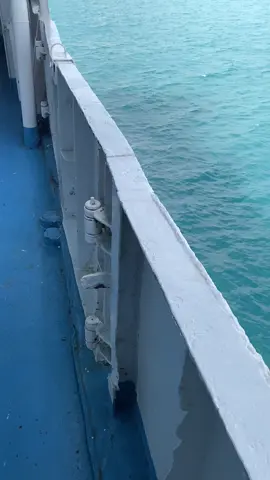 Enak lagune#fyp #lampung 