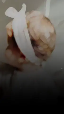 #صلوا_على_النبي #ماشالله🧿 #صغيري_المدلل👶🏻💙الله_يحميك_ياروح_امك💙✨ #ابني_نور_عيوني #ملاكي_الصغير 