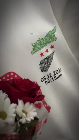 #سوريا_صارت_اية ✌🏻🇸🇾💚#ذكرى_تحرير_سوريا_8_12_2024💚 #مرسين_تشارشي #أم_جلال👑😌❤ #ولاد_الأصل_نعمة😌👑❤ 