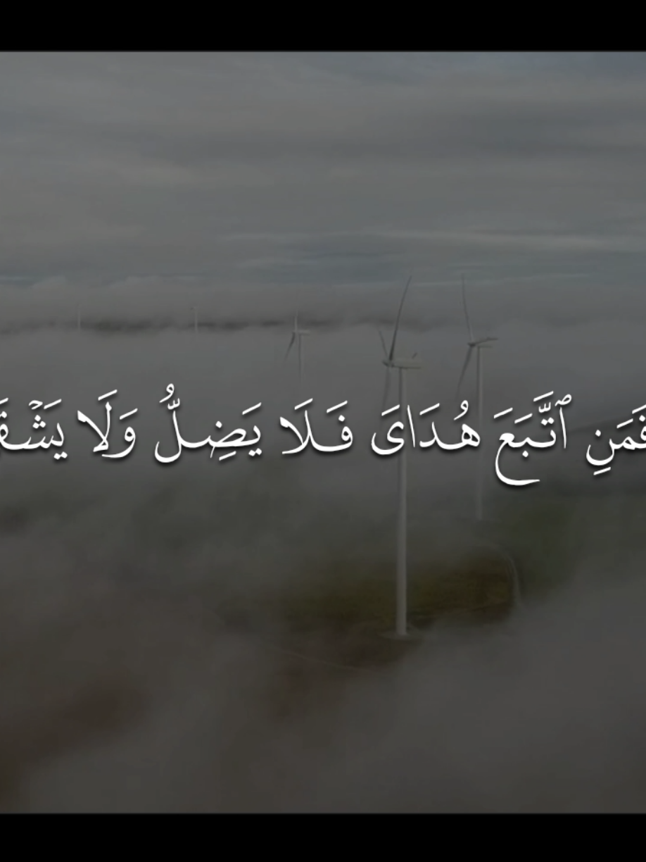 فَمَنِ اتَّبَعَ هُدايَ فَلا يَضِلُّ وَلا يَشقى #احمد_بن_طالب #قران #quran #quran_alkarim 