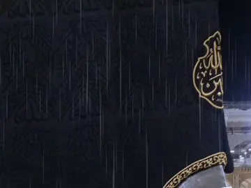 حساب بدون موسيقى 🌿🤍 #فيا_قبر_الحبيب_وددت_أني #صلوا_على_النبي #راحة_نفسيه💚 #الريتش_في_ذمه_الله💔 #ɴᴏ_ᴍᴜꜱɪᴄ 