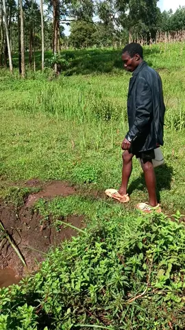 #kesogontiktokers #kesogon #chokorawakesoo2025 