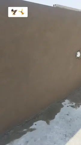 #الشعب_الصيني_ماله_حل😂😂 #قلعه_سكر #الناصريه_الحبيبه @بروج القلعة للبناء و التصاميم 