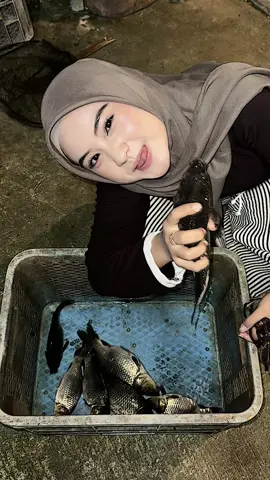 kurang footage pas nusuk cacing neh  