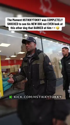 The Moment HSTIKKYTOKKY was COMPLETELY SHOCKED to see his NEW DOG not EVEN look at this other dog that BARKED at him 👀🤣#edmatthews #hstikkytokky 
