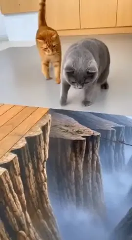 Jail nya oyen ampun 🤣🤣