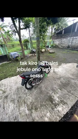 wanita berhati kawan🤪🫢#fyppppppppppppppppppppppp #masukberanda #katakata 