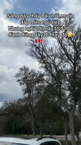 #fyppppppppppppppppppppppp #fypシ #nguoivietomy🇺🇸 #dinhcumy🇺🇸 #cuocsongmy 