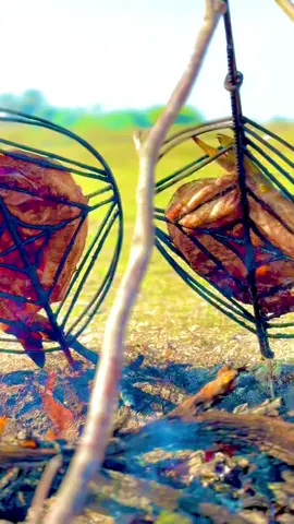 #العماره_ميسان #اهوار_الچبايش #مشاوي #البصره_شط_العرب #❤️‍🔥🫰🏻